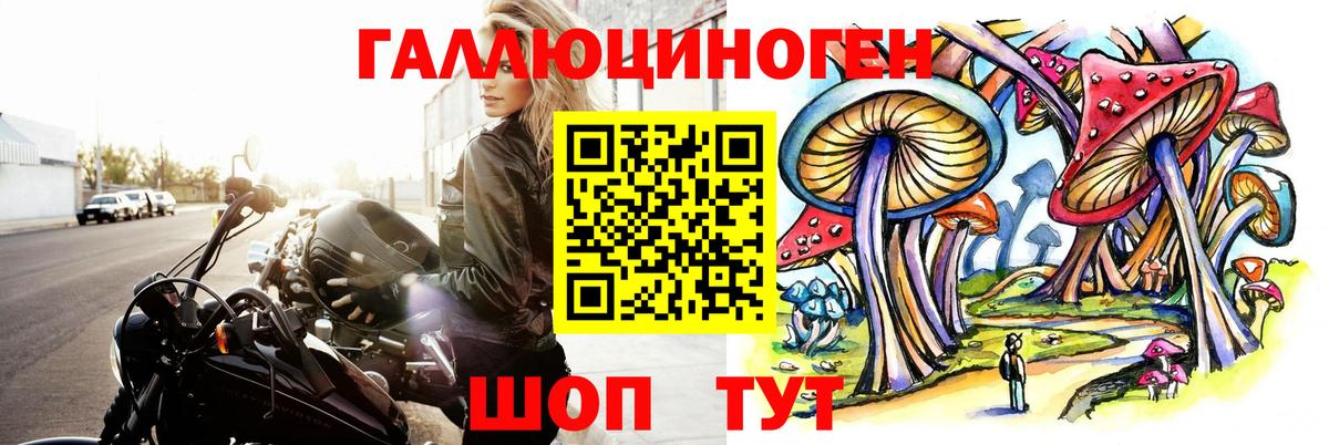 купить наркотик  Псилоцибиновые грибы мухоморы  Вход с VPN  Абакан  Псилоцибиновые грибы Magic Shrooms 